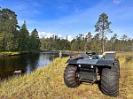 Дикая Карелия